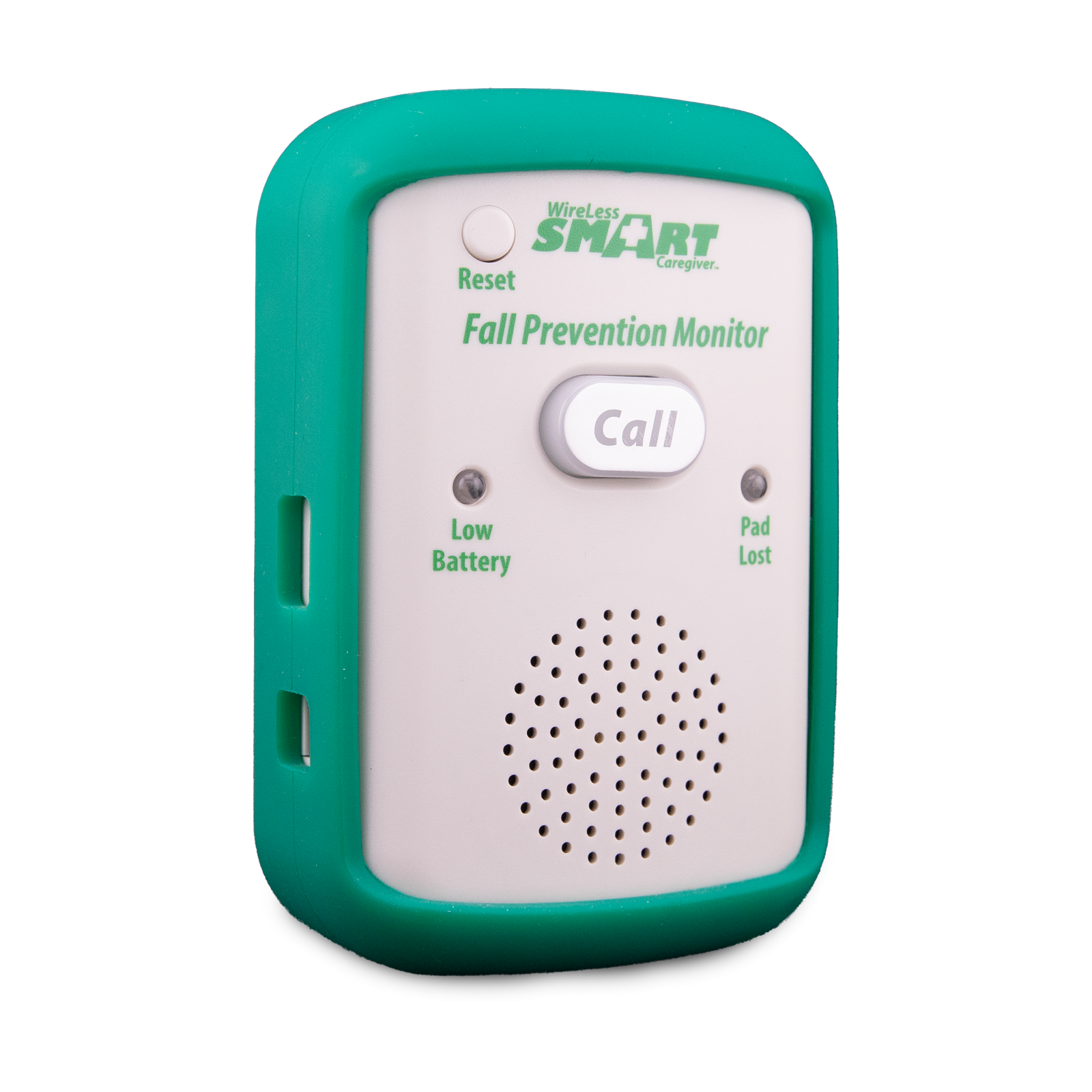 Large Facility Fall Prevention Monitor